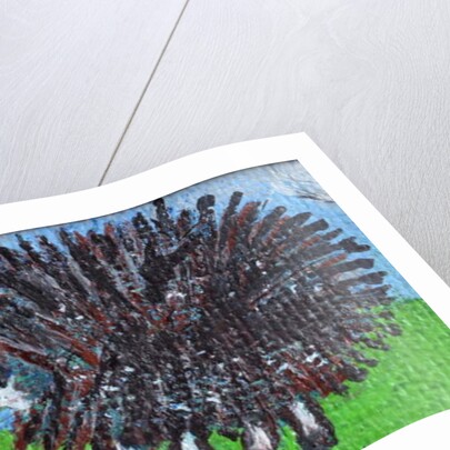 Hedgehog by Brenda Brin Booker