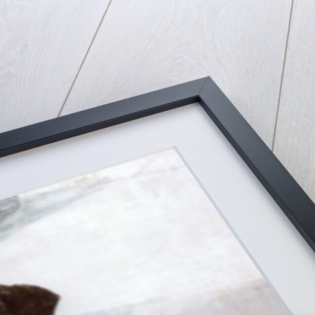 Rex in the Morning at the Used Car Lot by Brenda Brin Booker