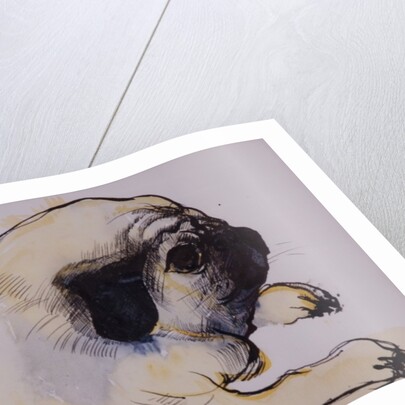 Hogarth, 1982 by Brenda Brin Booker