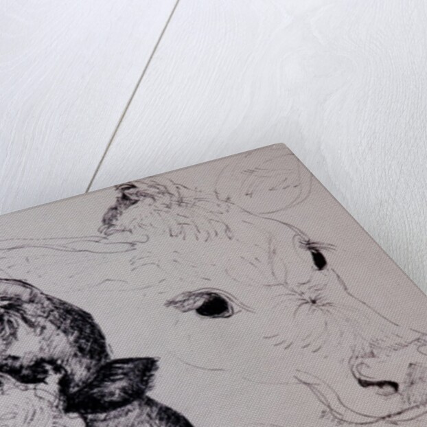 Calves, Gt Garnetts II by Brenda Brin Booker