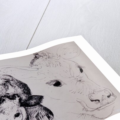 Calves, Gt Garnetts II by Brenda Brin Booker