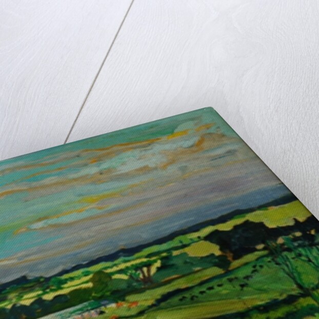 Across the Valley, Bedfordshire, 1973 by Brenda Brin Booker