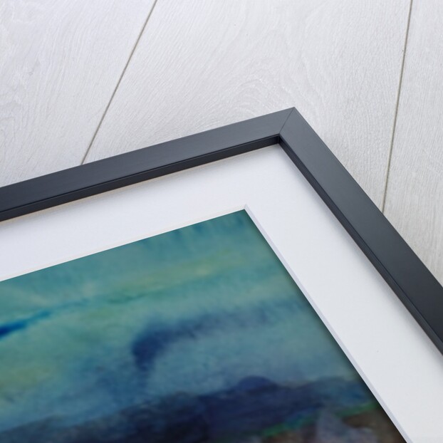 Moonshine by Brenda Brin Booker