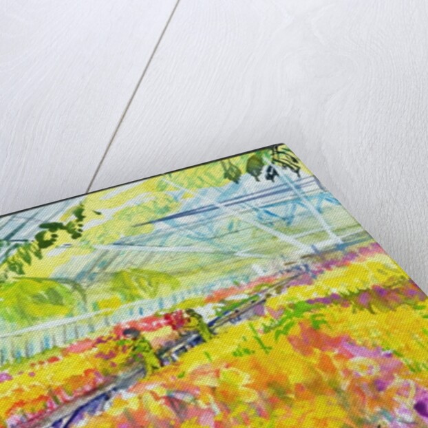 The Nursery by Brenda Brin Booker