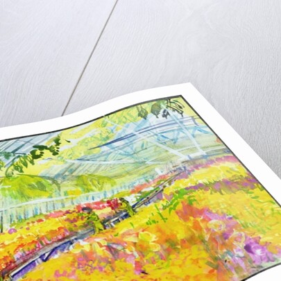 The Nursery by Brenda Brin Booker