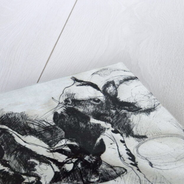 Calves; day-old by Brenda Brin Booker