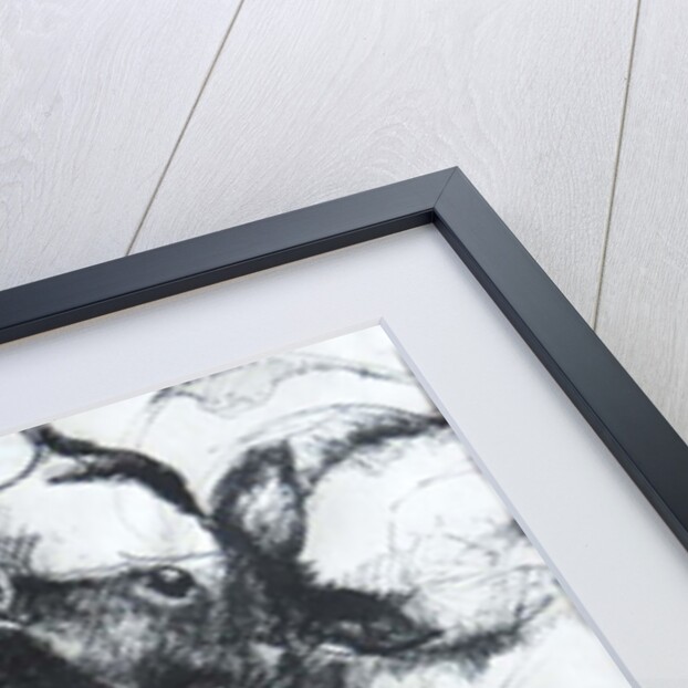 Calves; day-old by Brenda Brin Booker