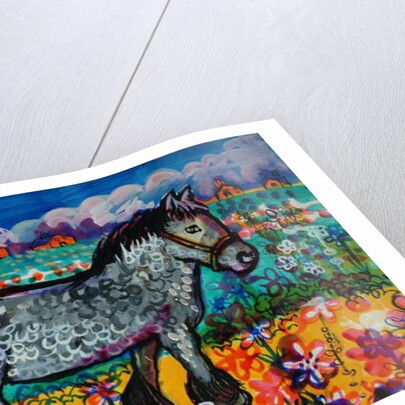 Horse by Brenda Brin Booker
