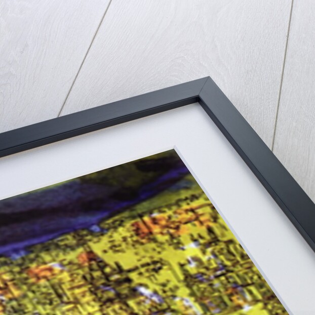 Westminster by Brenda Brin Booker