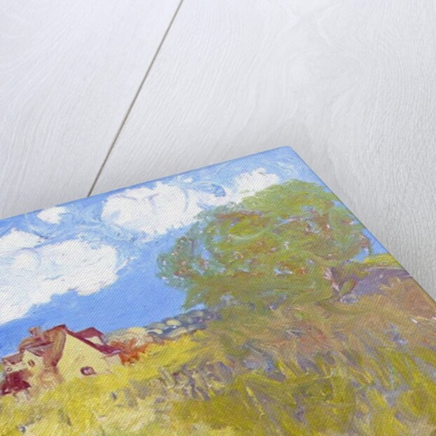 Summer Cottage, White Clouds by Brenda Brin Booker