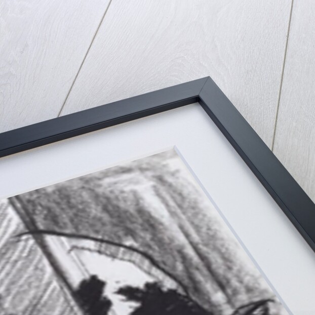 Calves by Brenda Brin Booker