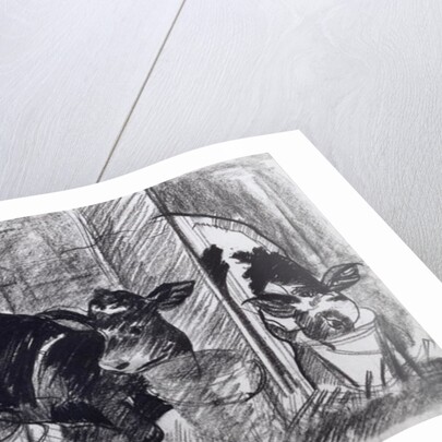 Calves by Brenda Brin Booker