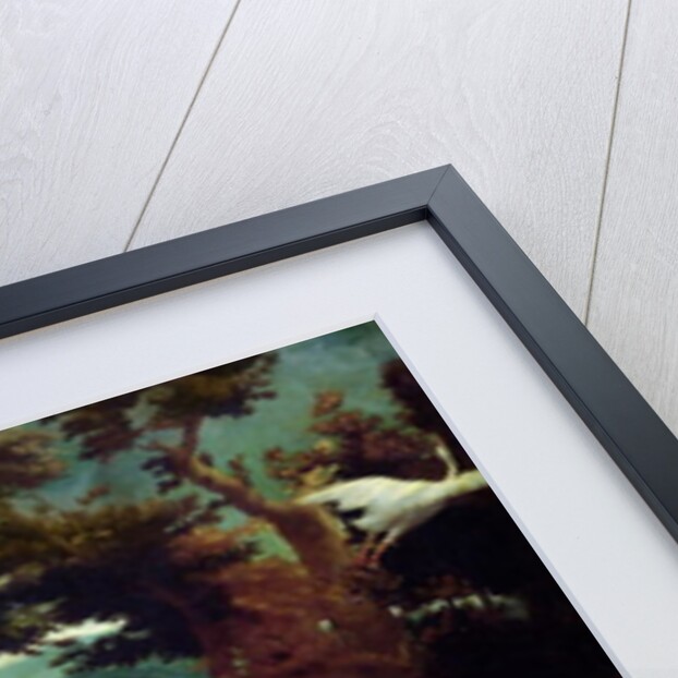 Leda and the Swan by Correggio