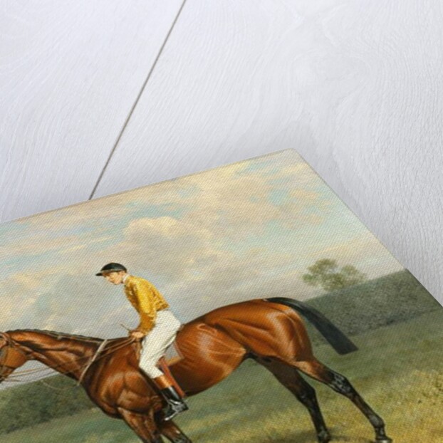 Ormonde, Winner of the 1886 Derby, 1886 by Emil Adam