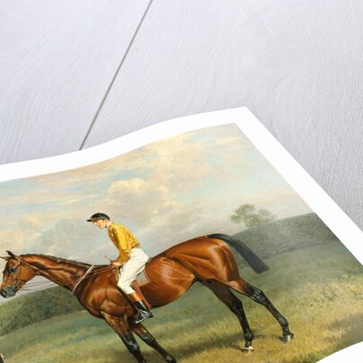 Ormonde, Winner of the 1886 Derby, 1886 by Emil Adam
