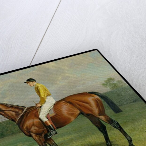 Ormonde, Winner of the 1886 Derby, 1886 by Emil Adam