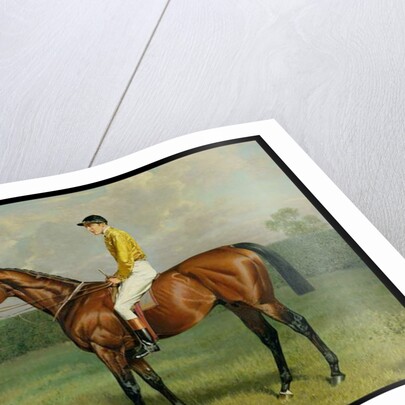 Ormonde, Winner of the 1886 Derby, 1886 by Emil Adam