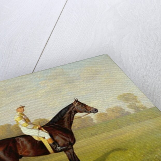 Ladas, Winner of the 1894 Derby, 1894 by Emil Adam