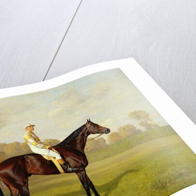 Ladas, Winner of the 1894 Derby, 1894 by Emil Adam