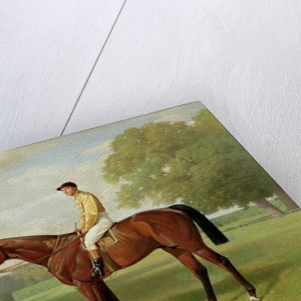 Flying Fox, Winner of the 1899 Derby, 1899 by Emil Adam