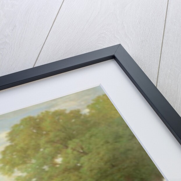 Flying Fox, Winner of the 1899 Derby, 1899 by Emil Adam