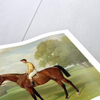 Flying Fox, Winner of the 1899 Derby, 1899 by Emil Adam