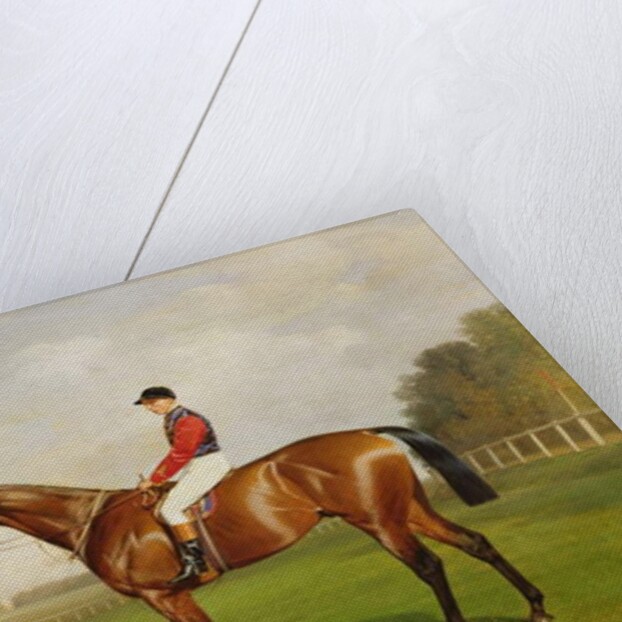 Diamond Jubilee, Winner of the 1900 Derby, 1900 by Emil Adam