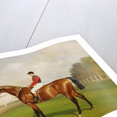 Diamond Jubilee, Winner of the 1900 Derby, 1900 by Emil Adam