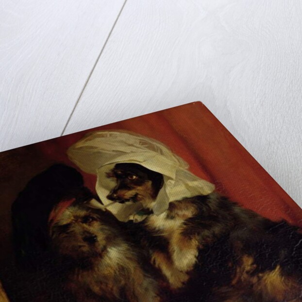 Comical Dogs, 1836 by Edwin Landseer