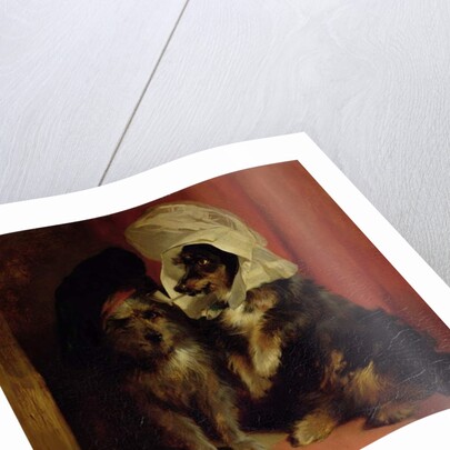 Comical Dogs, 1836 by Edwin Landseer