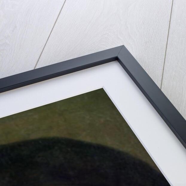 The Artist's Mother by Rembrandt Harmensz. van Rijn