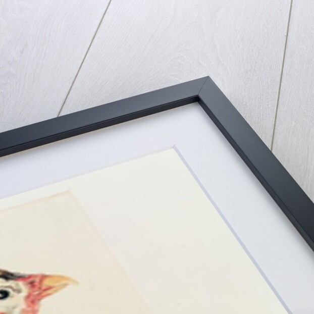 The Guinea Fowl and the Moor Hawk by Joseph Mallord William Turner