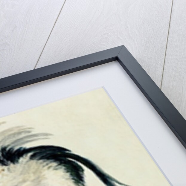 Heron with a fish by Joseph Mallord William Turner