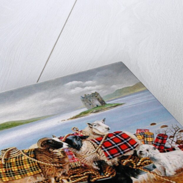 Sheep with Tartan, 1999 by E.B. Watts