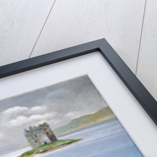 Sheep with Tartan, 1999 by E.B. Watts