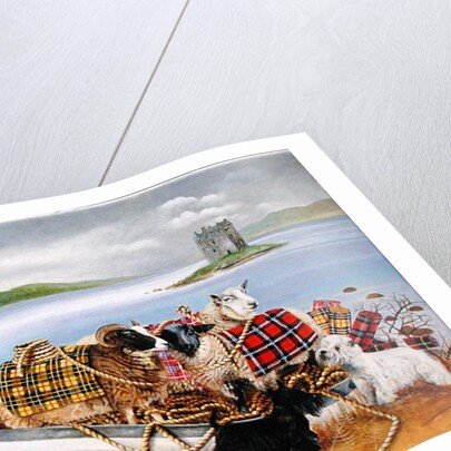 Sheep with Tartan, 1999 by E.B. Watts