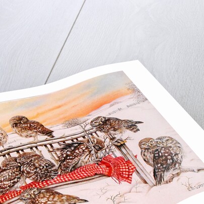 Little Owls on Twig Bench, 1999 by E.B. Watts