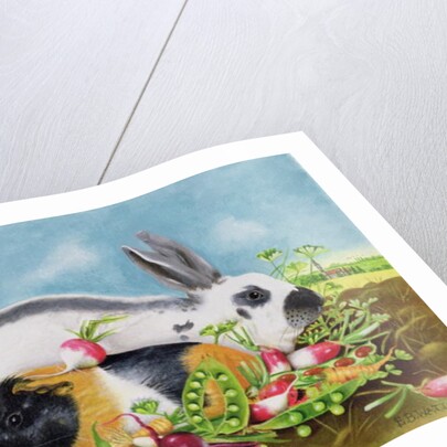 Rabbit and Guinea Pig, 1998 by E.B. Watts