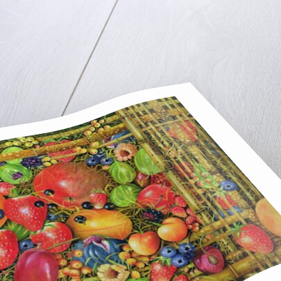 Fruit in Bamboo Box, 1999 by E.B. Watts