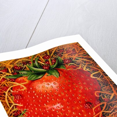 Strawberry in Straw, 1998 by E.B. Watts