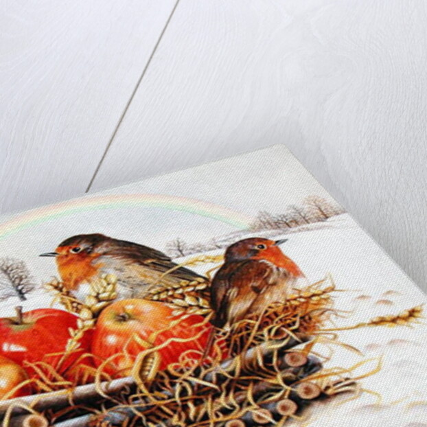 Robins with Apples, 1997 by E.B. Watts