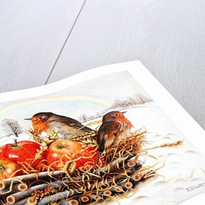 Robins with Apples, 1997 by E.B. Watts