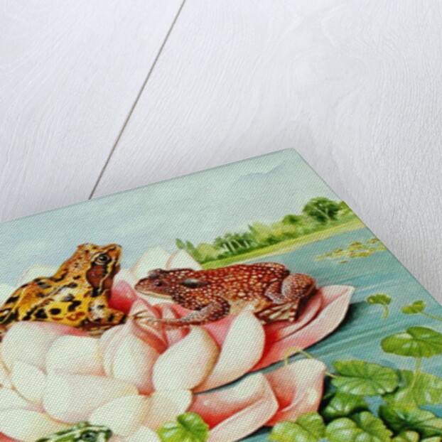 Water Lily, 1998 by E.B. Watts