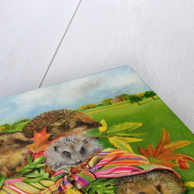 Hedgehogs Inside Scarf, 2000 by E.B. Watts