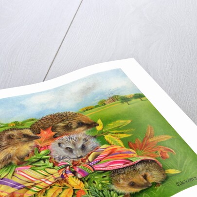 Hedgehogs Inside Scarf, 2000 by E.B. Watts