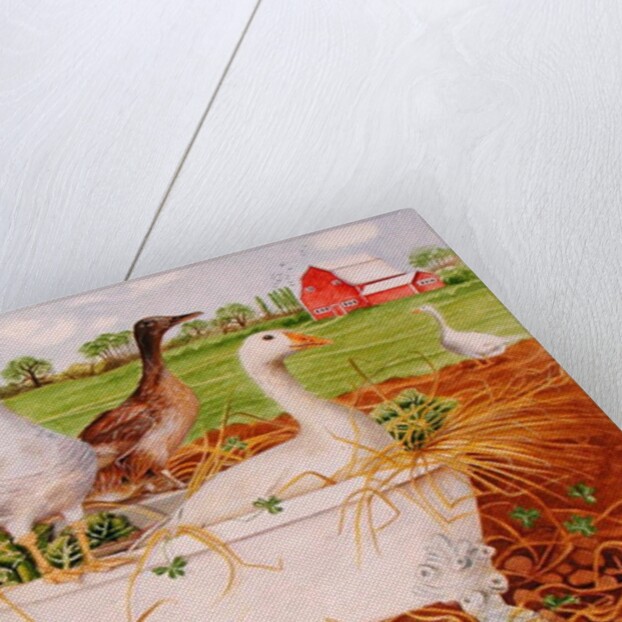 Geese in Bathtub, 1998 by E.B. Watts