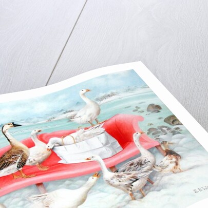 Geese on Pink Sofa, 2000 by E.B. Watts