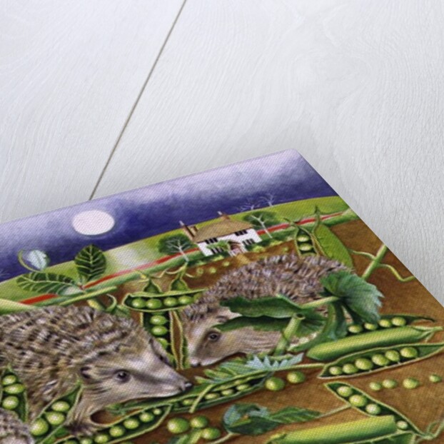 Hedgehogs with Peas beside a Poppy field at night, 1994 by E.B. Watts