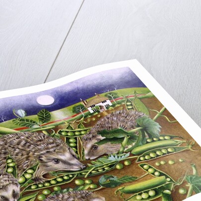 Hedgehogs with Peas beside a Poppy field at night, 1994 by E.B. Watts