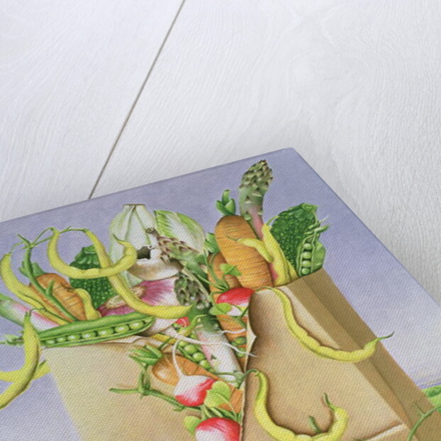 Paper Bag with Vegetables, 1992 by E.B. Watts